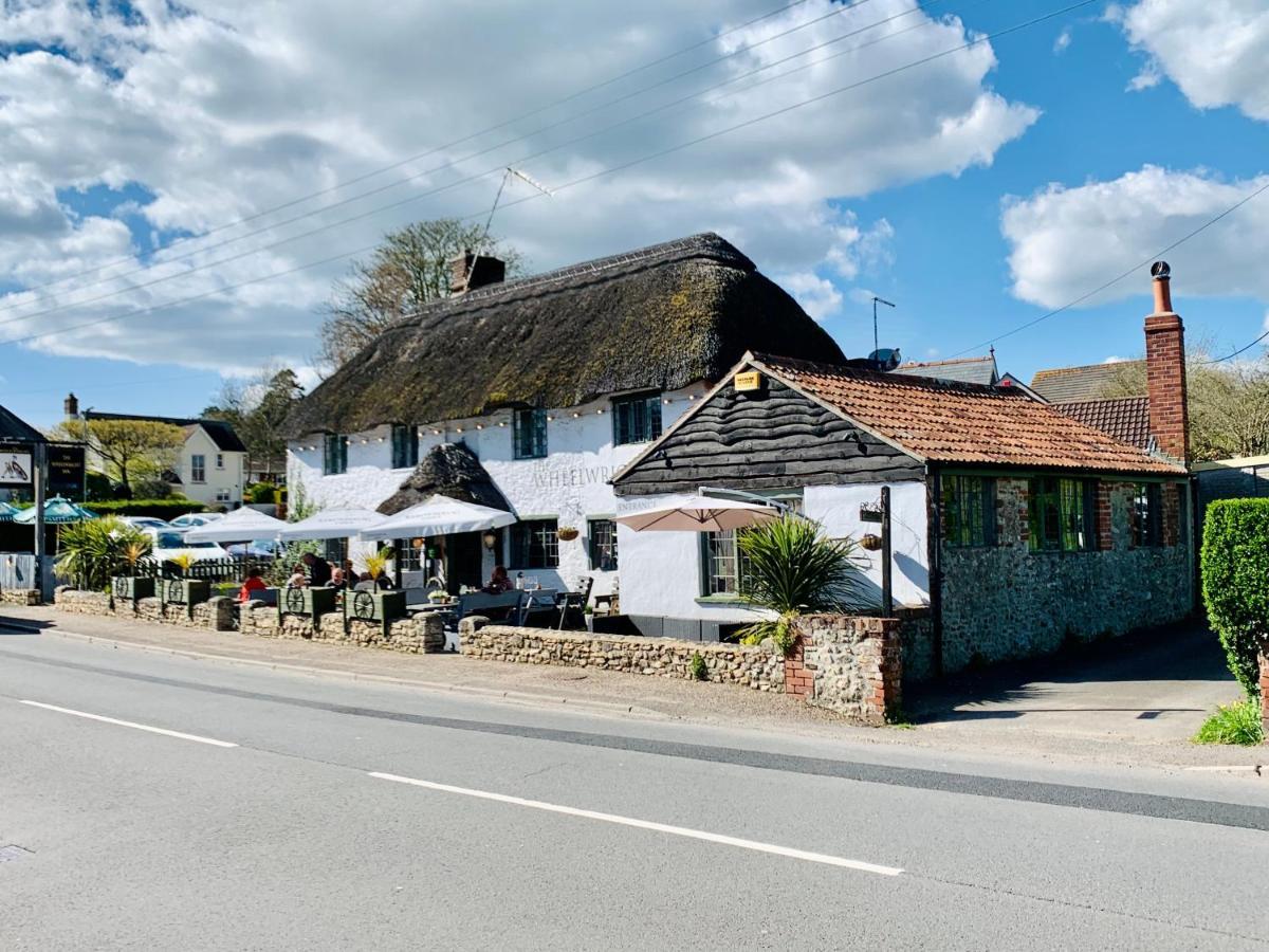 Swallows Eaves, The Guest Homestay Colyford